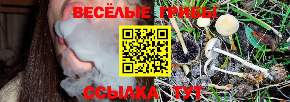 Псилоцибиновые грибы прущие грибы Дедовск