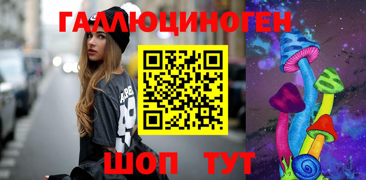 Дедовск  Галлюциногенные грибы Psilocybe  Вход с VPN 